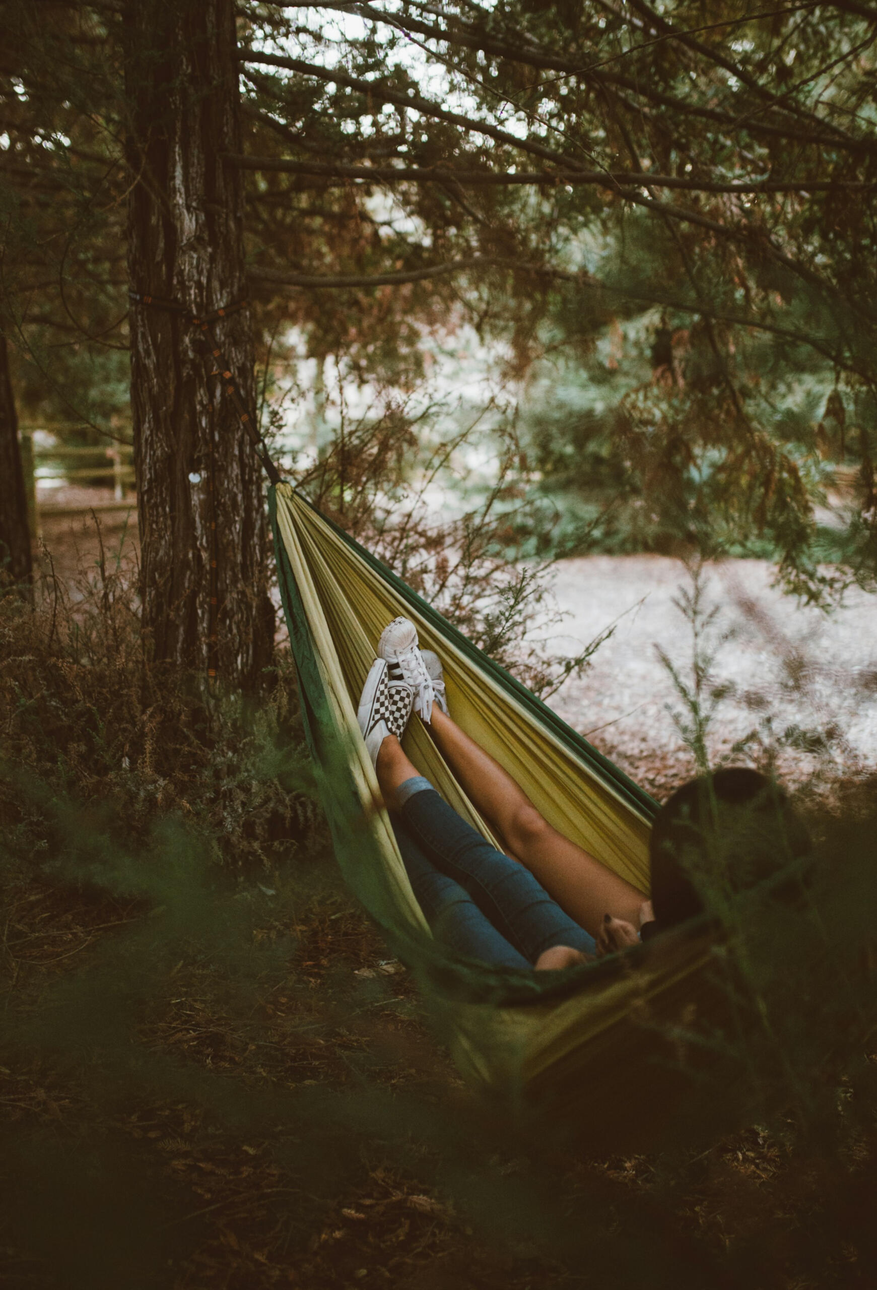 Two sets of legs are seen sitting in a hammock strung between trees.